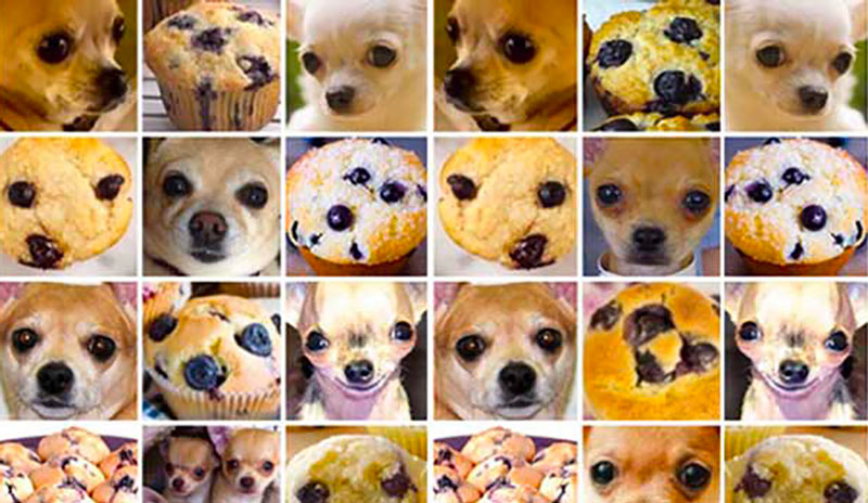 Why this has the search giant challenged!